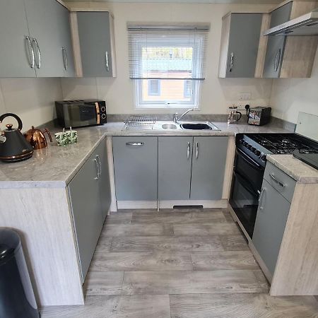 The Ceredigion - Plot 26, Woodlands Lodge Retreat, New Quay, West Wales Llanina 外观 照片