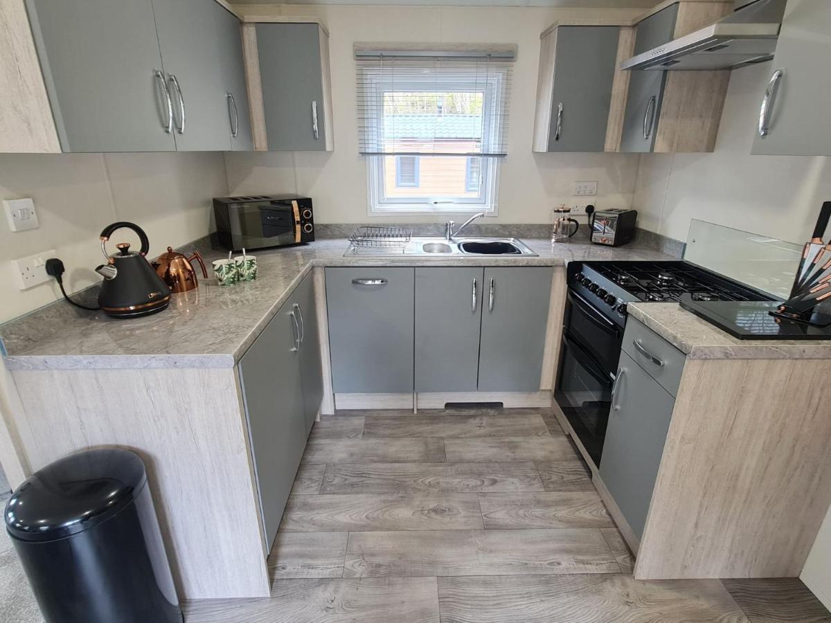 The Ceredigion - Plot 26, Woodlands Lodge Retreat, New Quay, West Wales Llanina 外观 照片